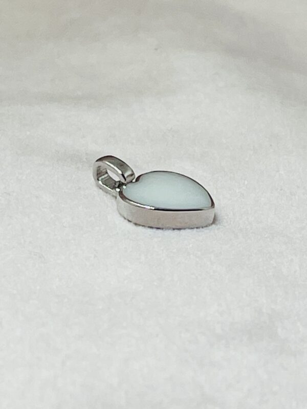 Dit borstmelkje is een hanger met borstvoeding verwerkt